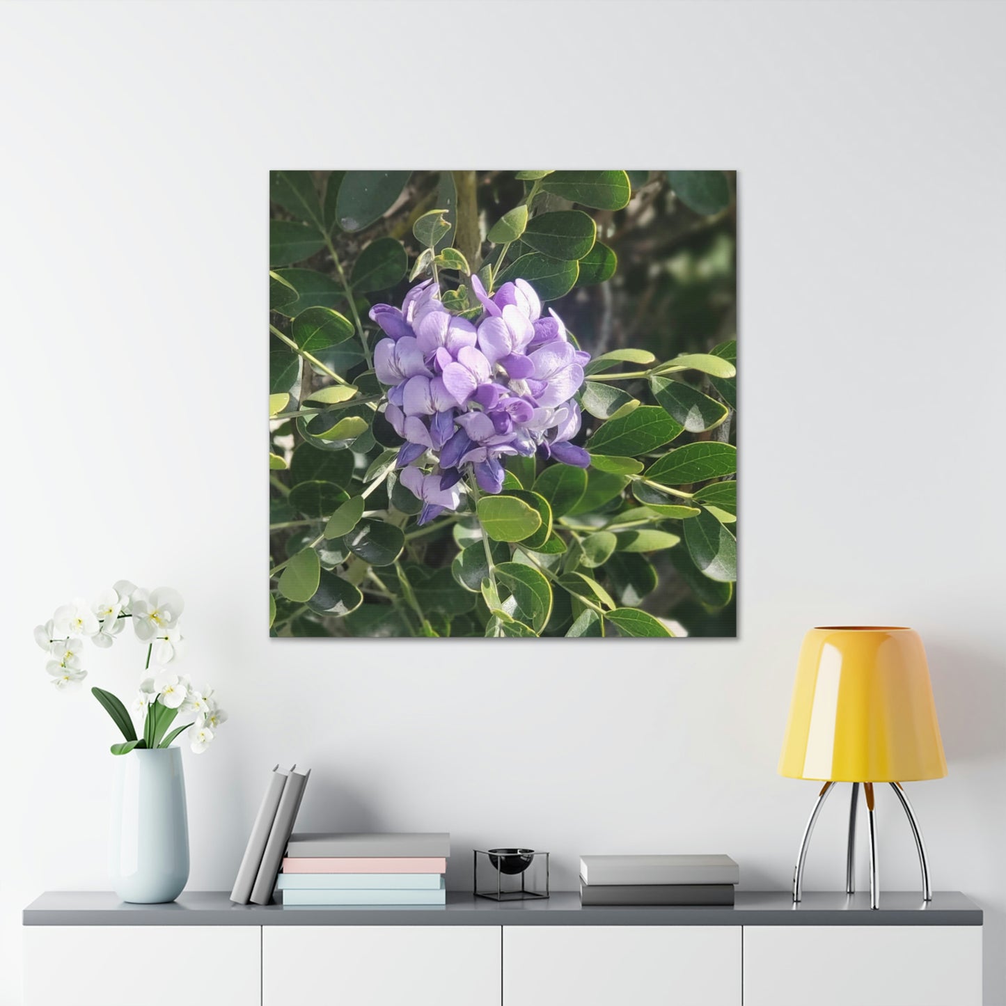 Purple Texas Mountain Laurel | Wall Art Canvas