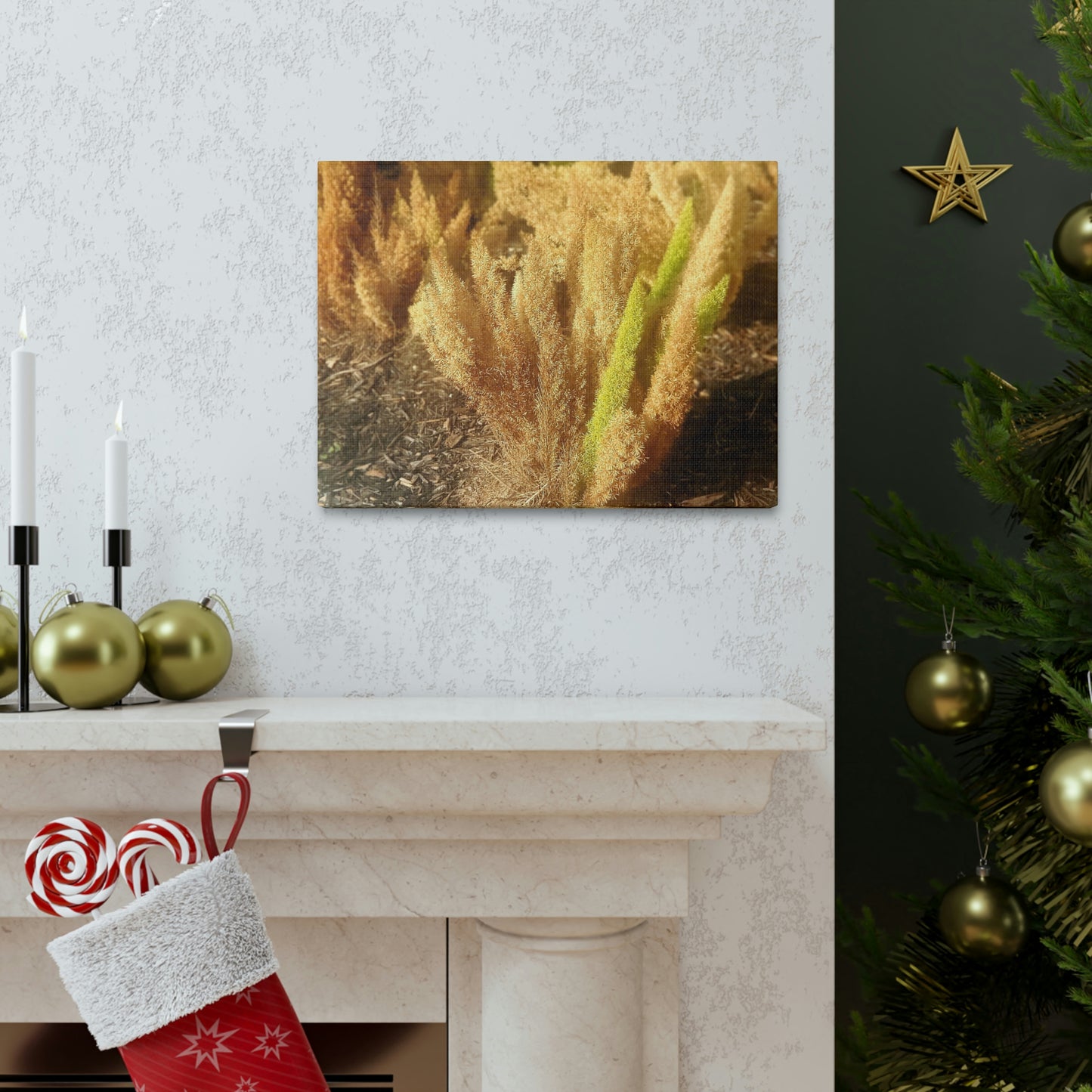 Golden Foxtail Fern | Wall Art Canvas | High Bloom Collection | Life By Ortavia