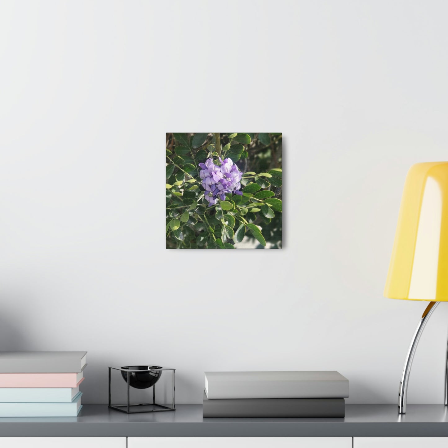 Purple Texas Mountain Laurel | Wall Art Canvas