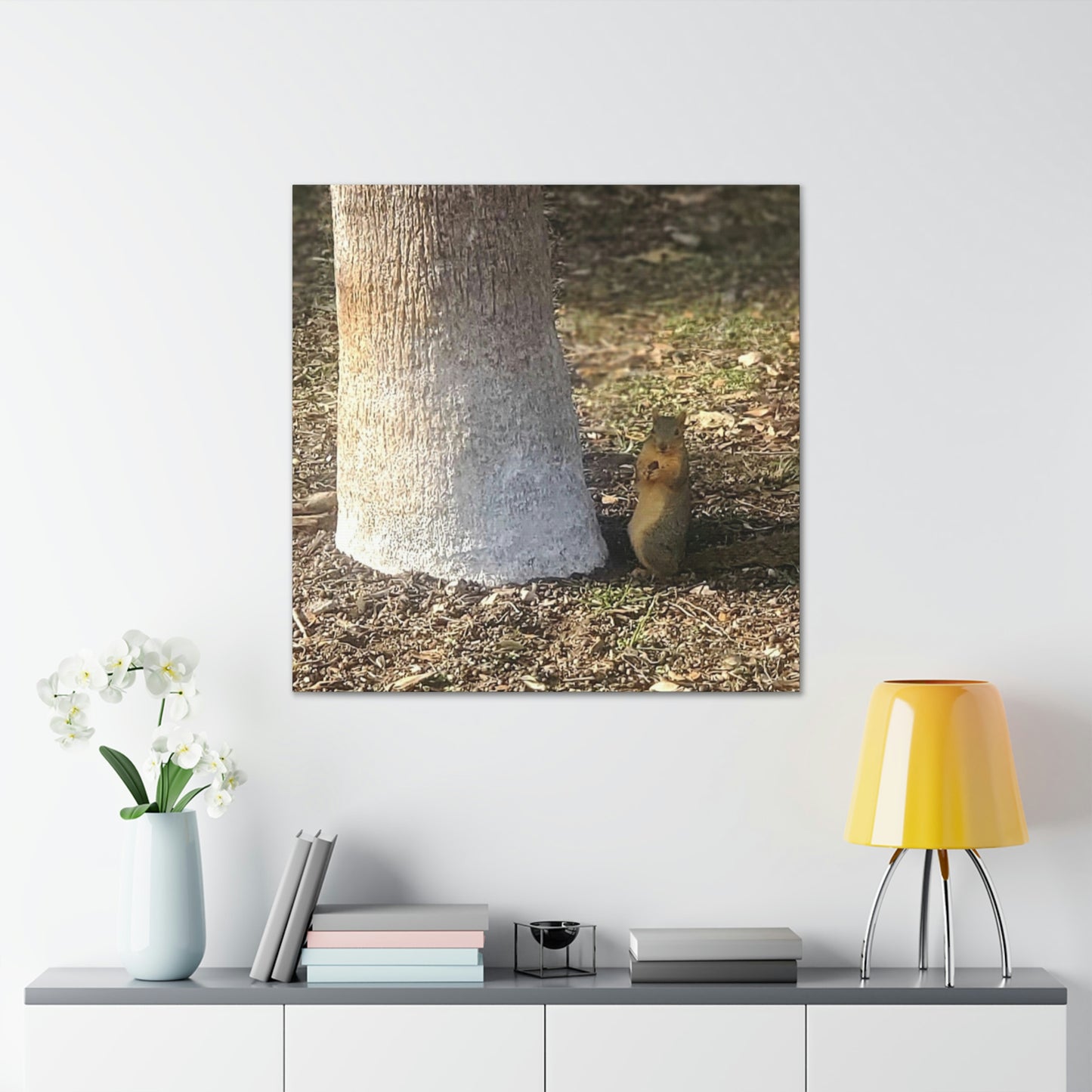 Squirrel and A Nut | Wall Art Print | Urban Geographic Collection | Life By Ortavia