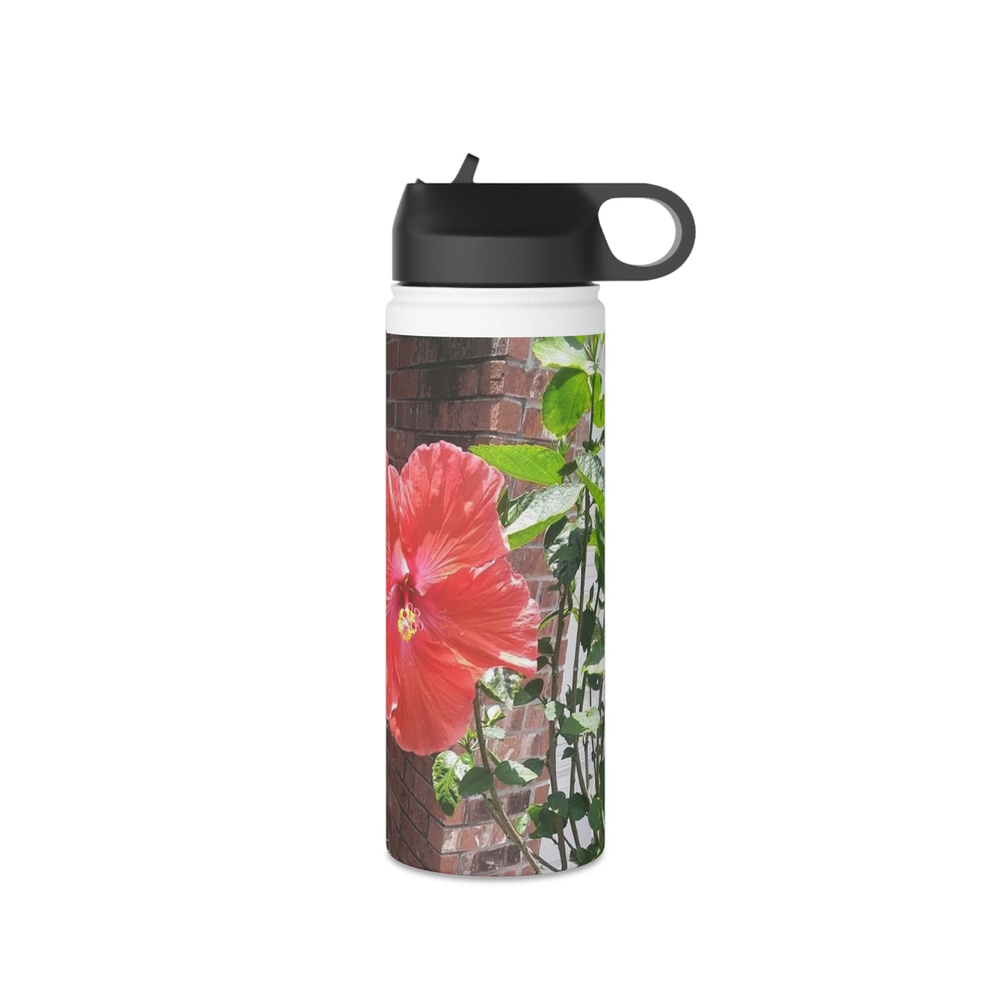 Peach Hibiscus | Stainless Steel Water Bottle, Standard Lid | High Bloom Collection | Life By Ortavia