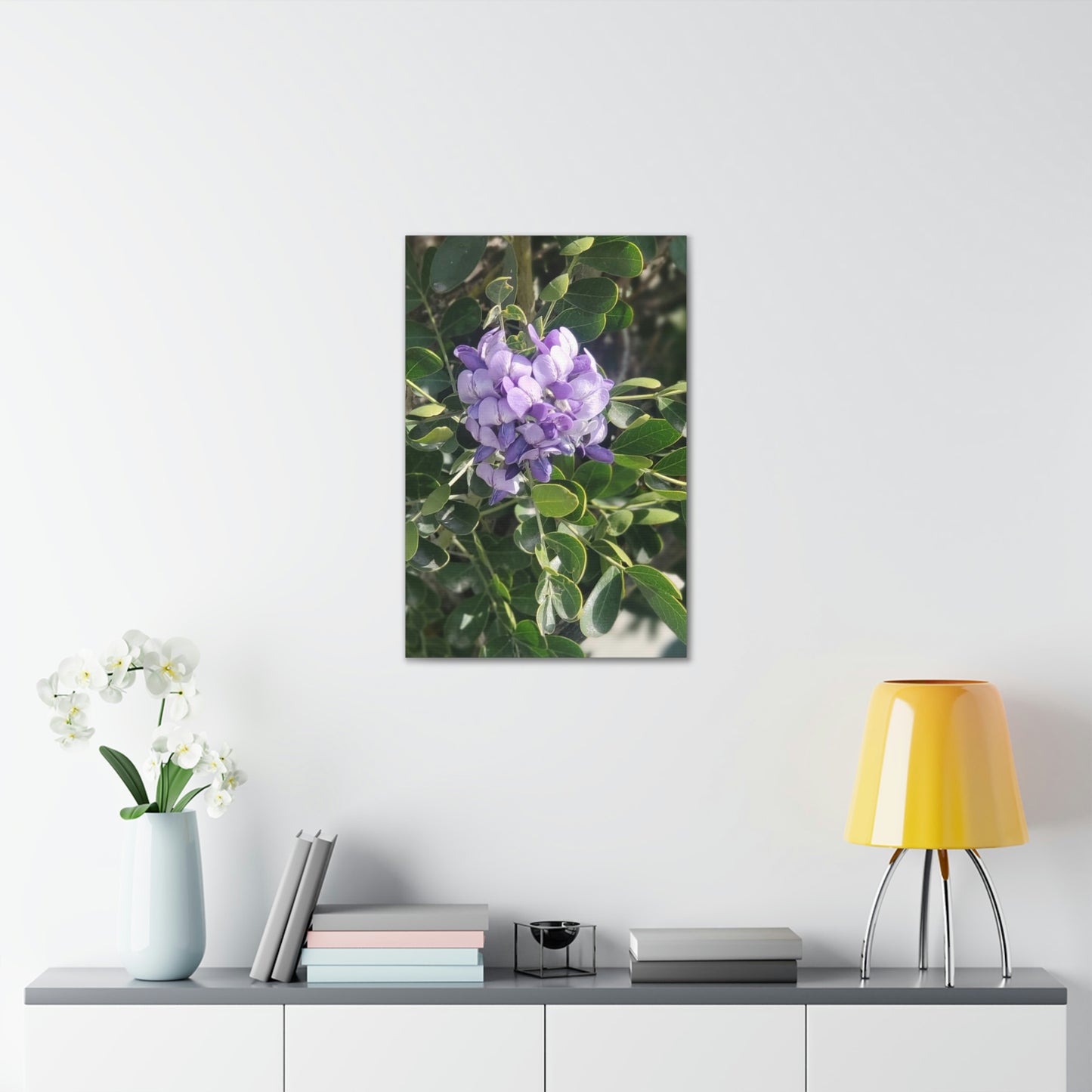 Purple Texas Mountain Laurel | Wall Art Canvas