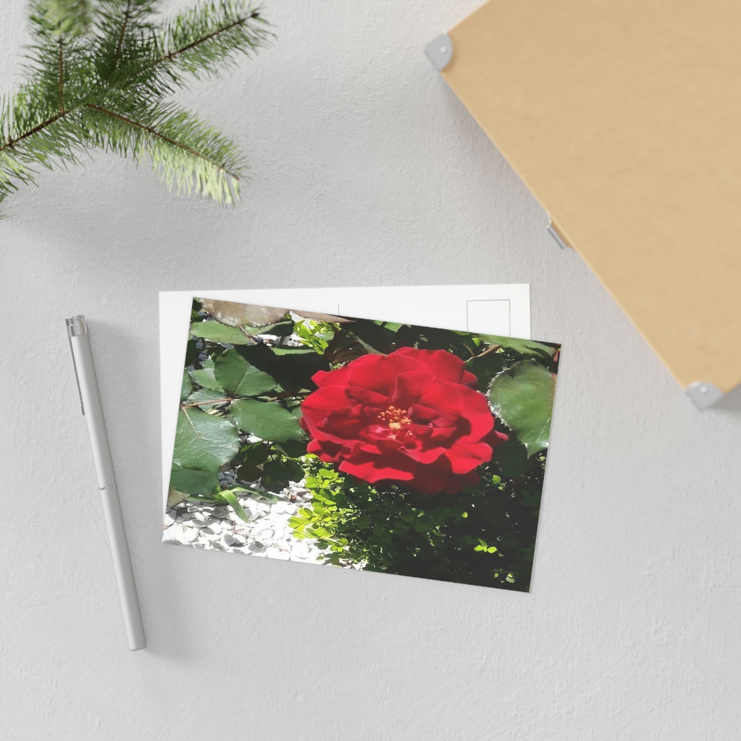 Europeana Red Rose Fine Art Postcards
