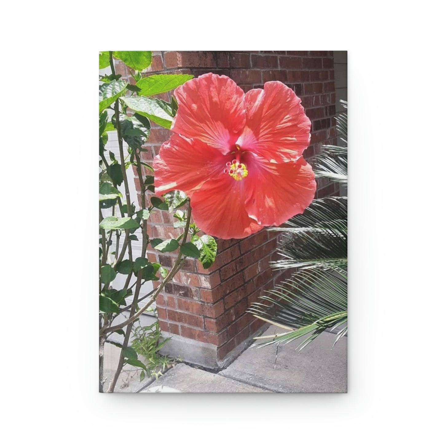 Peach Hibiscus Flower | Hardcover Matte Journal | High Bloom Collection | Life By Ortavia