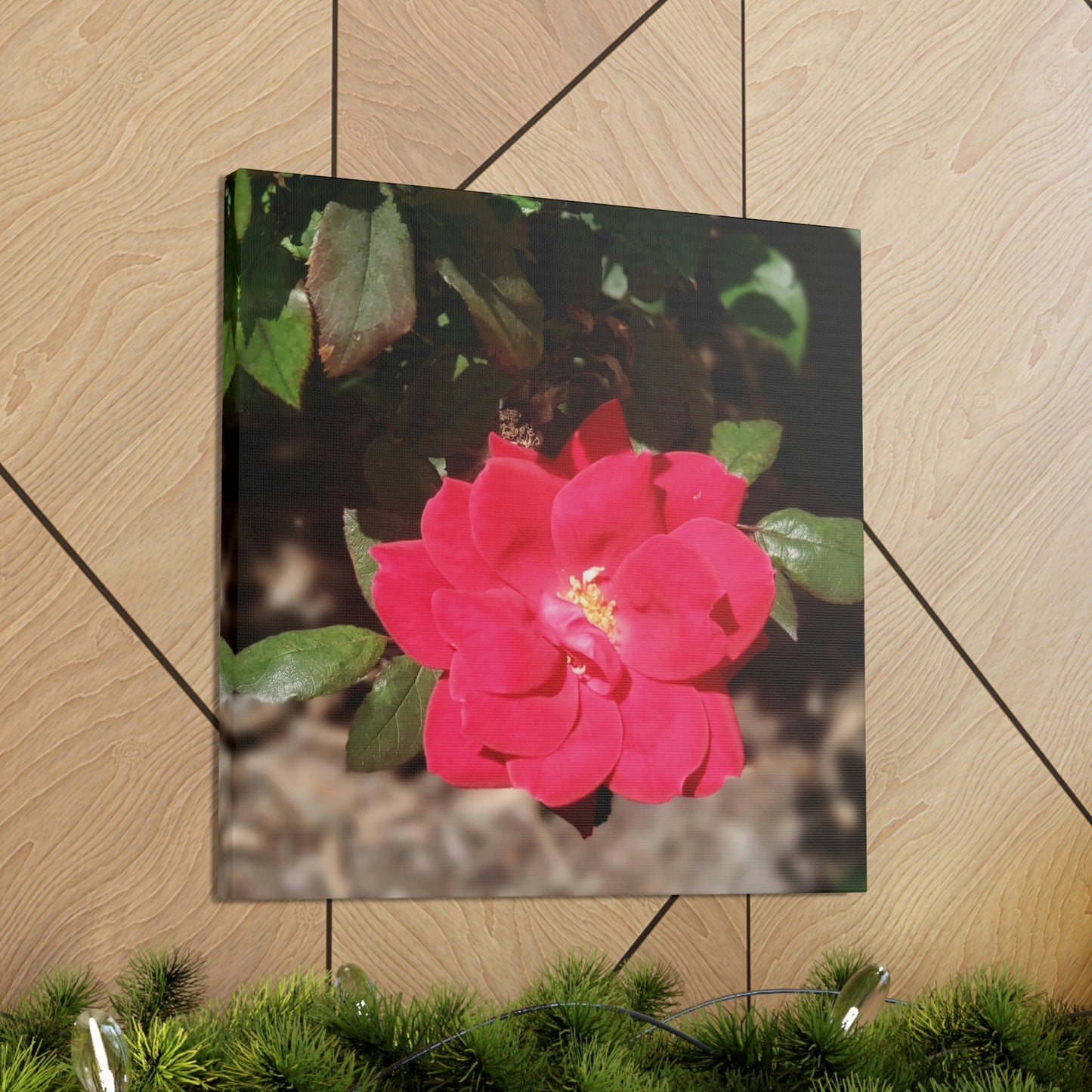 Knockout | Wall Art Print | High Bloom Collection | Life By Ortavia