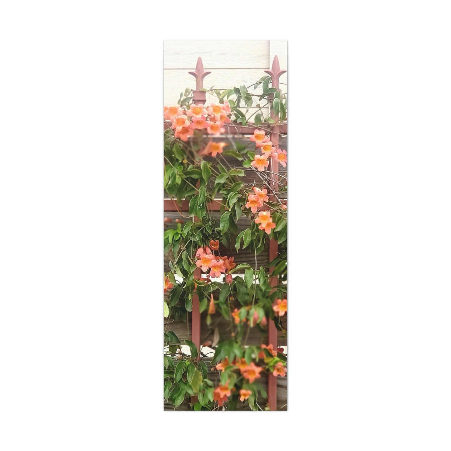Flowers On A Rugged Fence | Wall Art Canvas | High Bloom Collection | Life By Ortavia