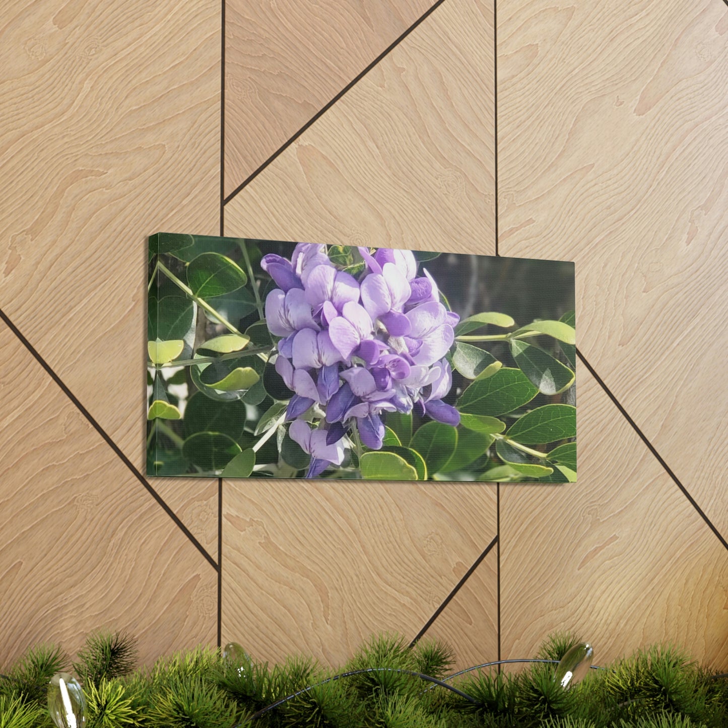 Purple Texas Mountain Laurel | Wall Art Canvas
