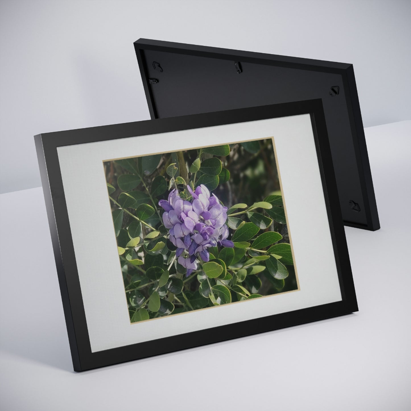 Framed Posters, Black