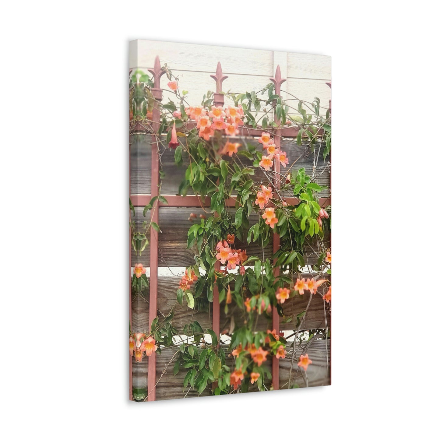 Flowers On A Rugged Fence | Wall Art Canvas | High Bloom Collection | Life By Ortavia