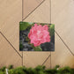 Pink Flower On A Vine | Wall Canvas | Bloom Collection