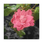 Pink Flower On A Vine | Wall Canvas | Bloom Collection