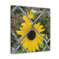 Sunflower Behind A Fence Canvas Gallery Wraps