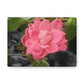 Pink Flower On A Vine | Wall Canvas | Bloom Collection
