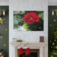 Europeana Red Rose | Wall Art Print | High Bloom Collection | Life By Ortavia