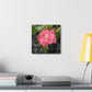 Pink Flower On A Vine | Wall Canvas | Bloom Collection