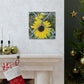 Sunflower Behind A Fence Canvas Gallery Wraps