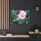 Focus on a Pink Rose | High Bloom Collection | Wall Art Print | Life By Ortavia