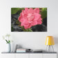 Pink Flower On A Vine | Wall Canvas | Bloom Collection