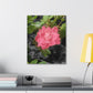 Pink Flower On A Vine | Wall Canvas | Bloom Collection
