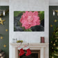 Pink Flower On A Vine | Wall Canvas | Bloom Collection
