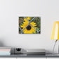 Sunflower Behind A Fence Canvas Gallery Wraps