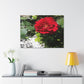 Europeana Red Rose | Wall Art Print | High Bloom Collection | Life By Ortavia