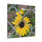 Sunflower Behind A Fence Canvas Gallery Wraps