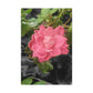 Pink Flower On A Vine | Wall Canvas | Bloom Collection