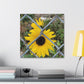 Sunflower Behind A Fence Canvas Gallery Wraps