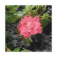 Pink Flower On A Vine | Wall Canvas | Bloom Collection