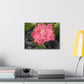 Pink Flower On A Vine | Wall Canvas | Bloom Collection