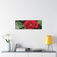 Europeana Red Rose | Wall Art Print | High Bloom Collection | Life By Ortavia