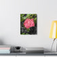 Pink Flower On A Vine | Wall Canvas | Bloom Collection