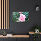 Focus on a Pink Rose | High Bloom Collection | Wall Art Print | Life By Ortavia