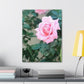 Focus on a Pink Rose | High Bloom Collection | Wall Art Print | Life By Ortavia