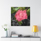 Pink Flower On A Vine | Wall Canvas | Bloom Collection