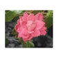 Pink Flower On A Vine | Wall Canvas | Bloom Collection