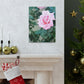 Focus on a Pink Rose | High Bloom Collection | Wall Art Print | Life By Ortavia