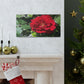 Europeana Red Rose | Wall Art Print | High Bloom Collection | Life By Ortavia