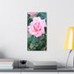 Focus on a Pink Rose | High Bloom Collection | Wall Art Print | Life By Ortavia