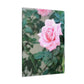 Focus on a Pink Rose | High Bloom Collection | Wall Art Print | Life By Ortavia