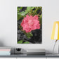 Pink Flower On A Vine | Wall Canvas | Bloom Collection