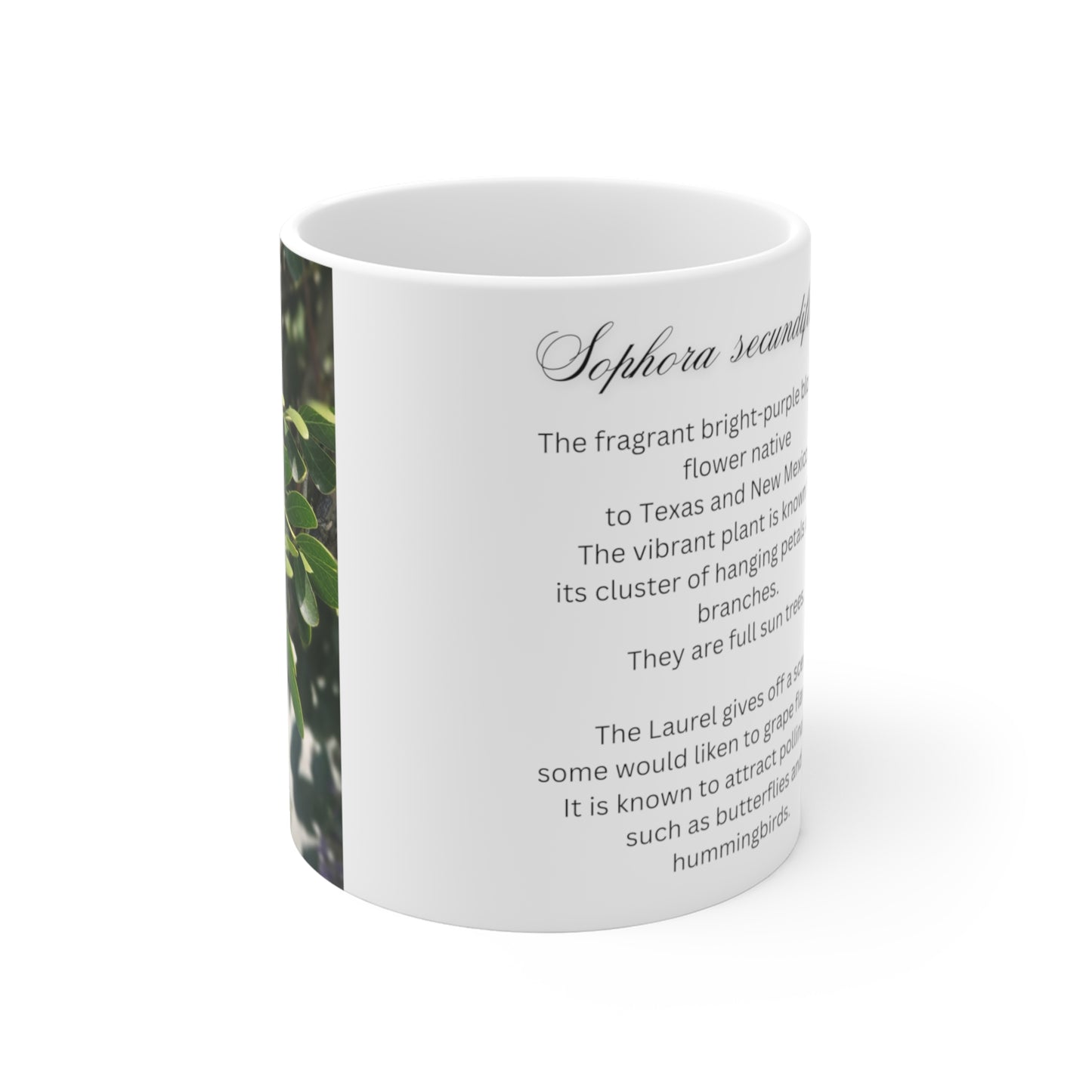 Purple Texas Mountain Laurel | Ceramic Mug 11oz