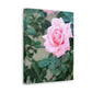 Focus on a Pink Rose | High Bloom Collection | Wall Art Print | Life By Ortavia
