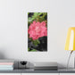 Pink Flower On A Vine | Wall Canvas | Bloom Collection