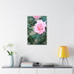Focus on a Pink Rose | High Bloom Collection | Wall Art Print | Life By Ortavia