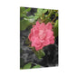 Pink Flower On A Vine | Wall Canvas | Bloom Collection