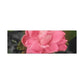 Pink Flower On A Vine | Wall Canvas | Bloom Collection
