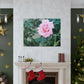 Focus on a Pink Rose | High Bloom Collection | Wall Art Print | Life By Ortavia
