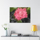 Pink Flower On A Vine | Wall Canvas | Bloom Collection
